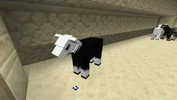 thumbnail for Great durroc