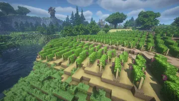 thumbnail for Flower Field