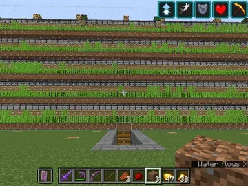 thumbnail for Sugar Cane Farm