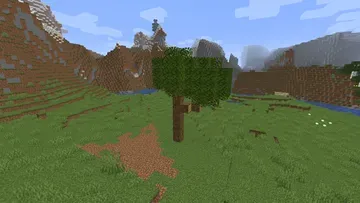 thumbnail for Big Tree