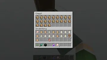 thumbnail for My chickens