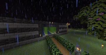 thumbnail for Suger cane farm