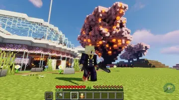 thumbnail for big tree