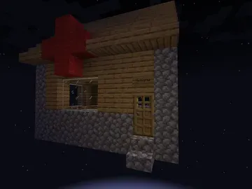 thumbnail for The First Aid Villager