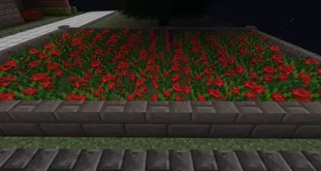 thumbnail for Rose Garden