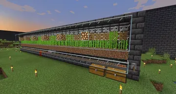 thumbnail for Sugar Cane Farm