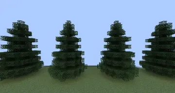 thumbnail for Simple Spruce