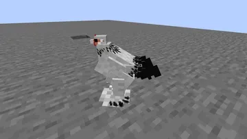 thumbnail for XL Brahma hatching eggs