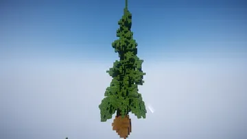 thumbnail for Huge Spruce Tree