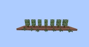 thumbnail for Small City Bushes