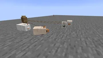 thumbnail for angora rabbits