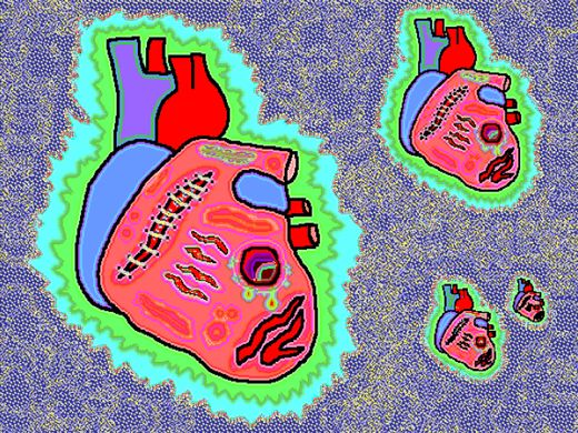 II/III The Scarred Heart
