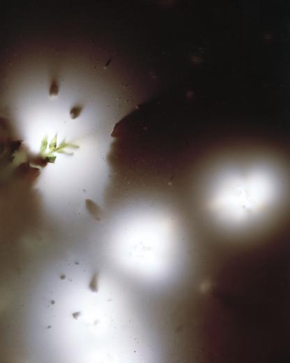 Blast ii
