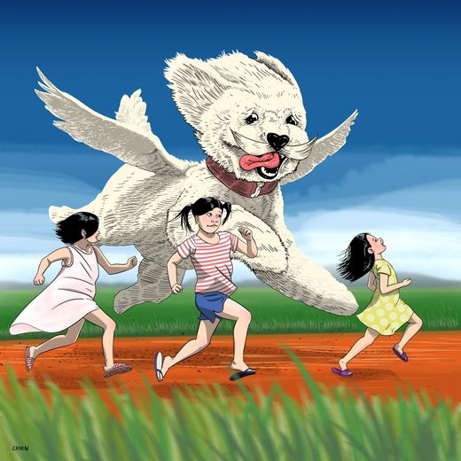 Run Puppy Run!