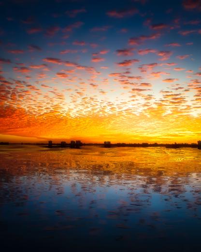 Royal Sunset Reverie