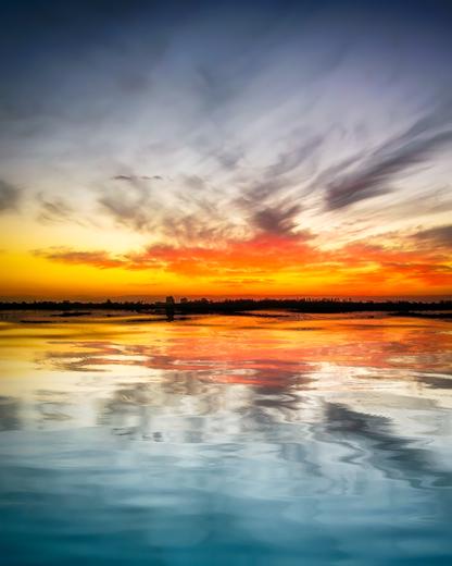 Royal Reflections