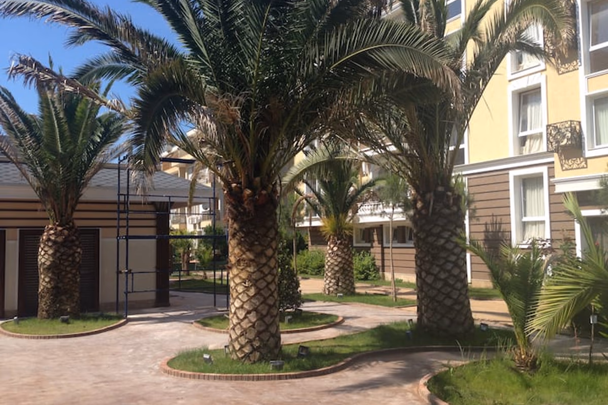 Miniaturka zdjęcia oferty