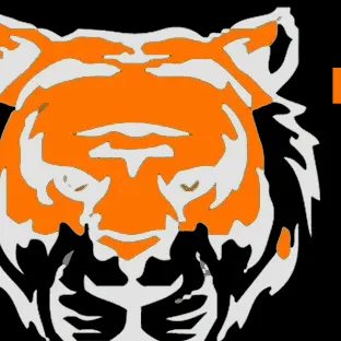 Tiger 365