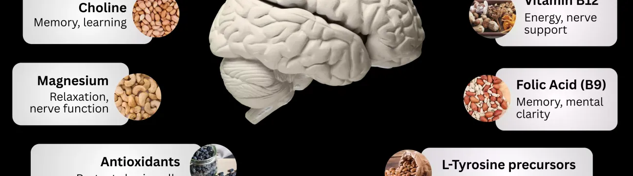 neuroxen  brain health support