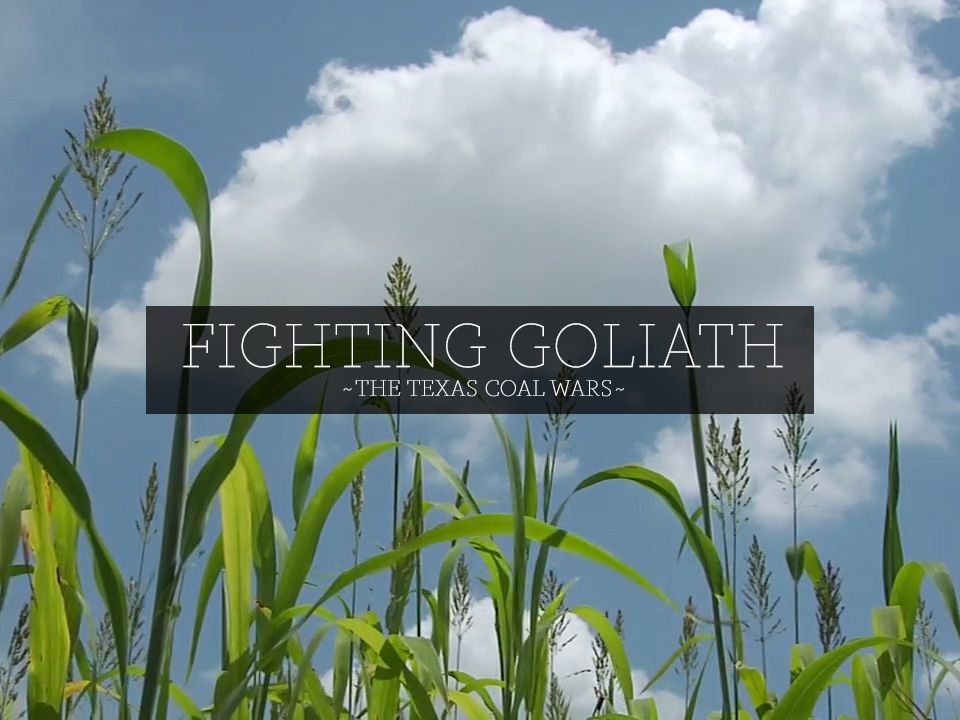 Fighting Goliath poster