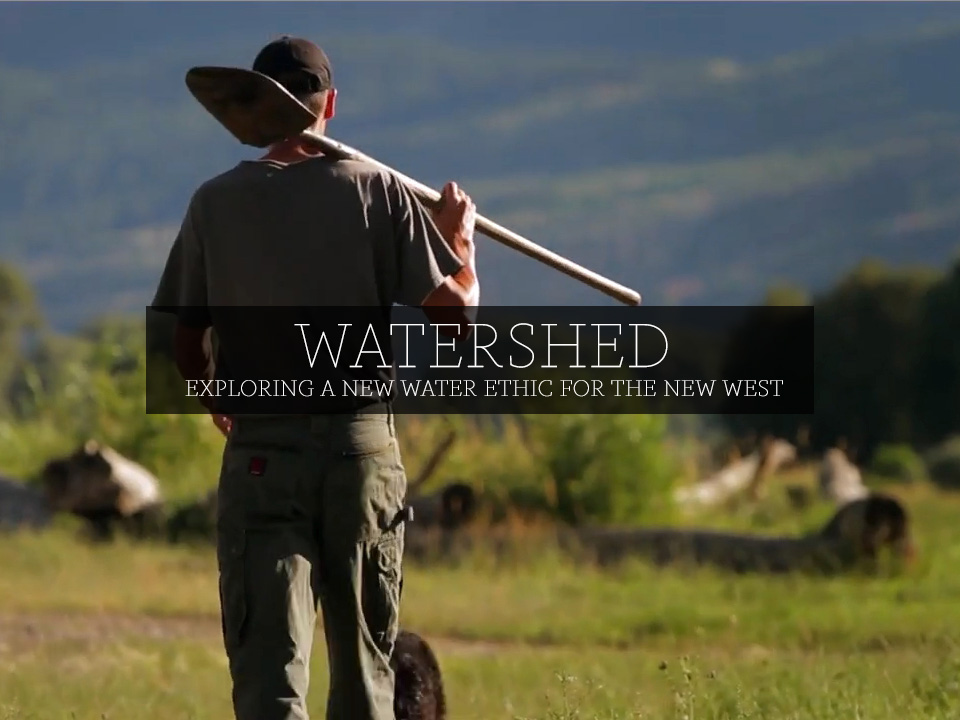 Watershed poster