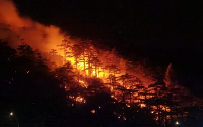 Dvojica uhićena zbog podmetanja požara na otvorenom u Crikvenici: šteta najmanje 250 tisuća eura, tri vatrogasca ozlijeđena