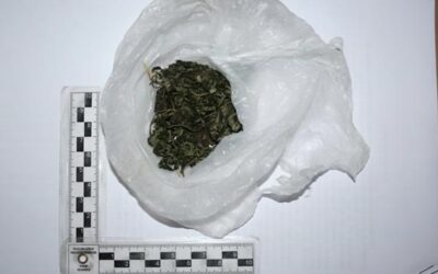 Policija u županiji u tjedan dana zaplijenila male količine droga od 17 osoba