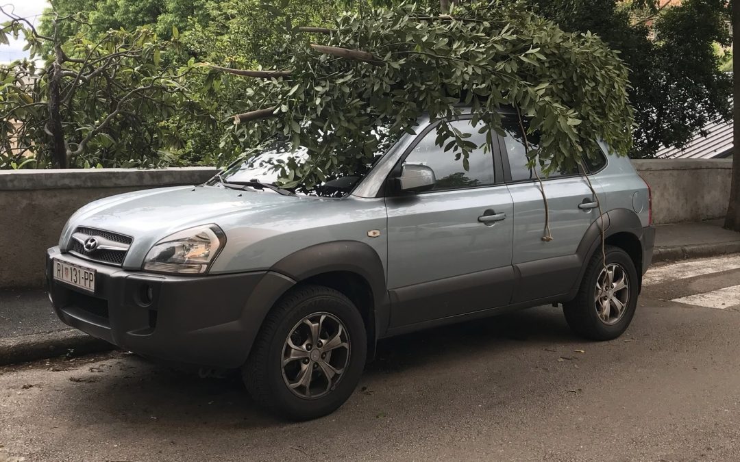 Na Kantridi lopov noću provalio u kuću, uzeo torbice s novcem i ključ od vozila, pa ukrao i auto. Vlasnici se probudili i trčali za njim