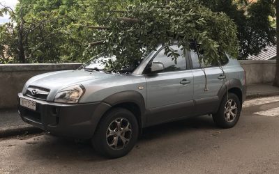 Na Kantridi lopov noću provalio u kuću, uzeo torbice s novcem i ključ od vozila, pa ukrao i auto. Vlasnici se probudili i trčali za njim