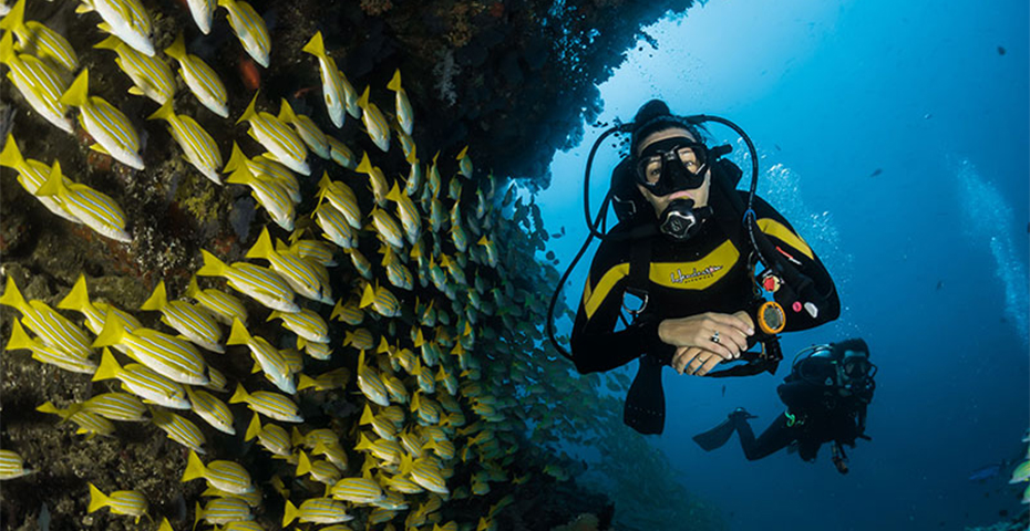 Guide: What you need to know about getting your diving licence in Malaysia