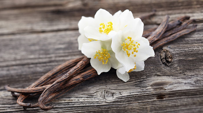 Sweet indulgence: Vanilla Purity Manicure & Pedicure by The Nail Parlour