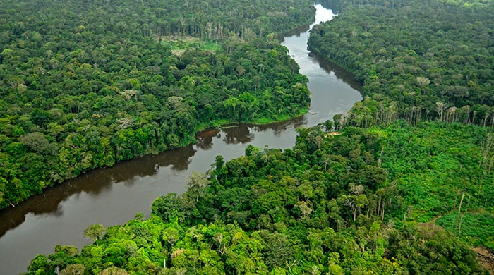 This virtual reality film lets you explore the Amazon rainforest as if you’re there