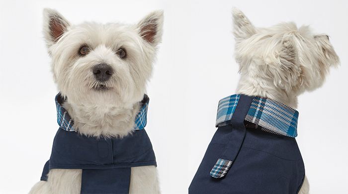 Mulberry and Mungo & Maud’s Christmas collection is made for pooch lovers