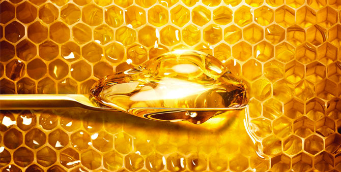 How to make your beauty routine more sustainable (and save the bees), according to Guerlain’s Chief Sustainability Officer