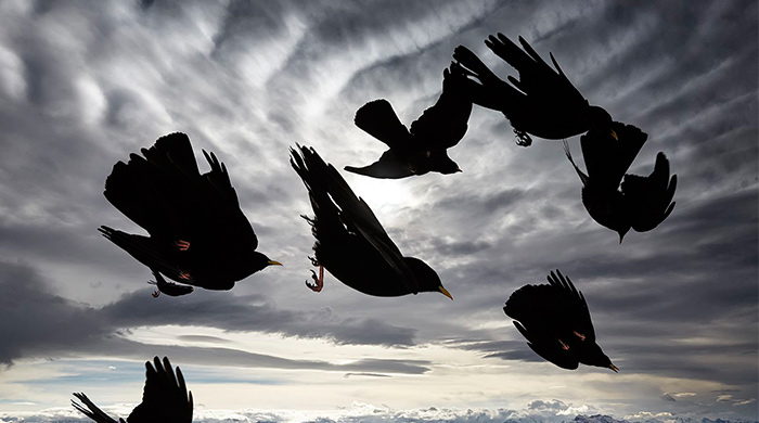 What makes an iconic winning photograph?