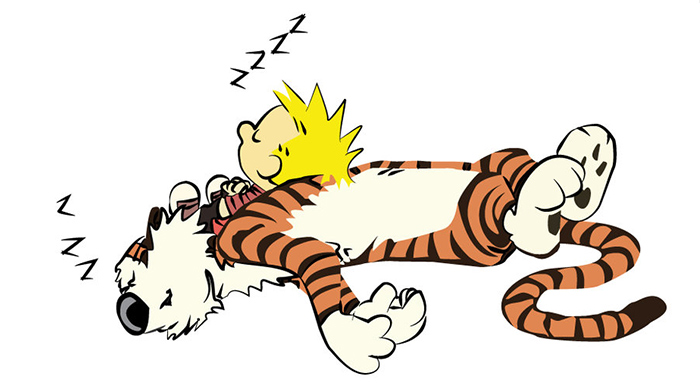 Ten life lessons we learnt from Calvin and Hobbes