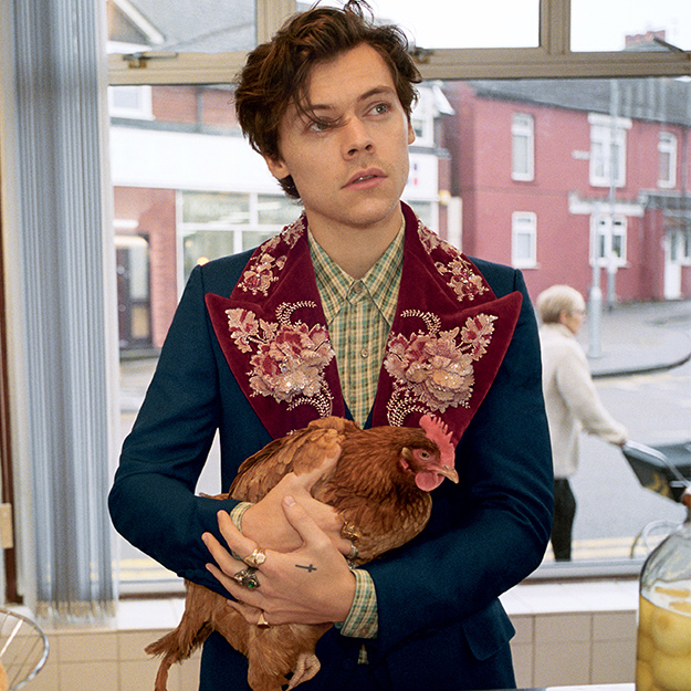 Harry Styles is the face of Gucci Men’s tailoring campaign