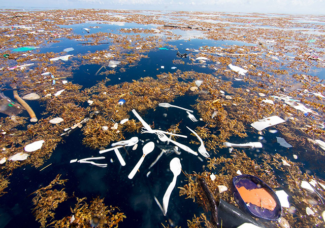 Would you still use a plastic bag/straw after seeing these photos?