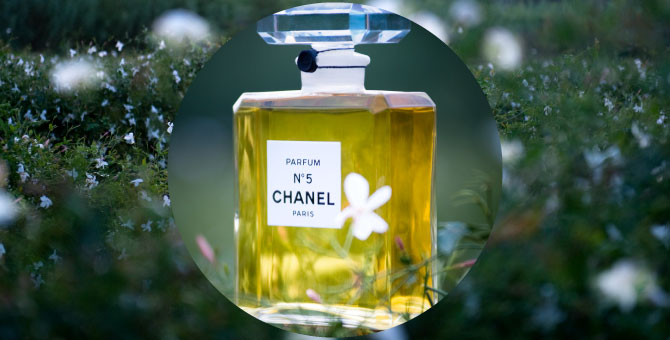 We Visited The Grasse Rose Fields, The Key To Chanel No. 5 Fragrance