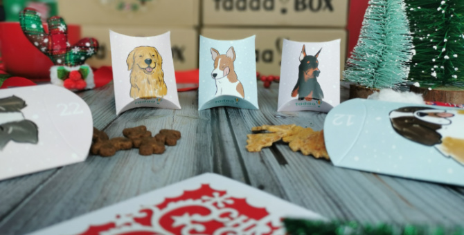 Christmas 2019: 6 Amazing gift ideas for animal lovers and pet parents