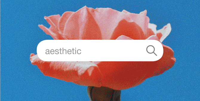 Find your aesthetic meaning