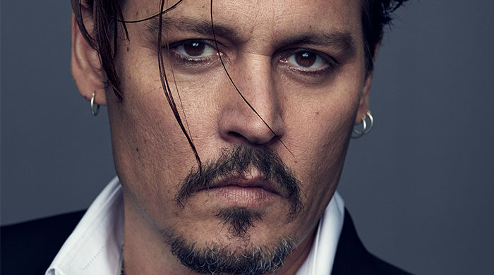 Johnny Depp Lands a New (Unexpected) Gig