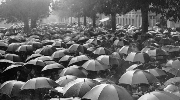 3 most luxurious umbrellas money can buy
