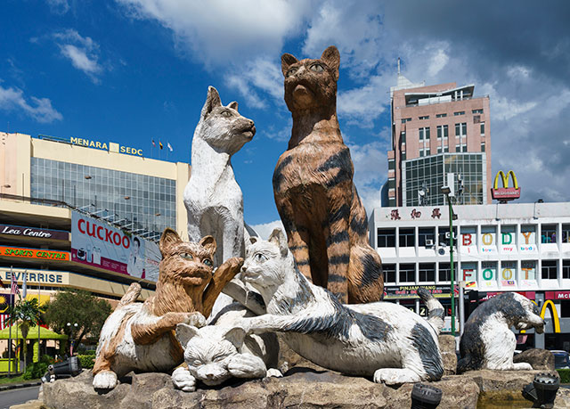 cat column kuching