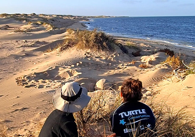 Ningaloo Turtle Program