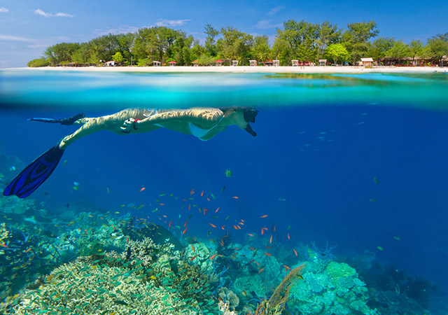 diving in gili islands