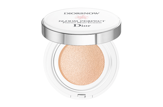 Dior clearance cushion fondoten