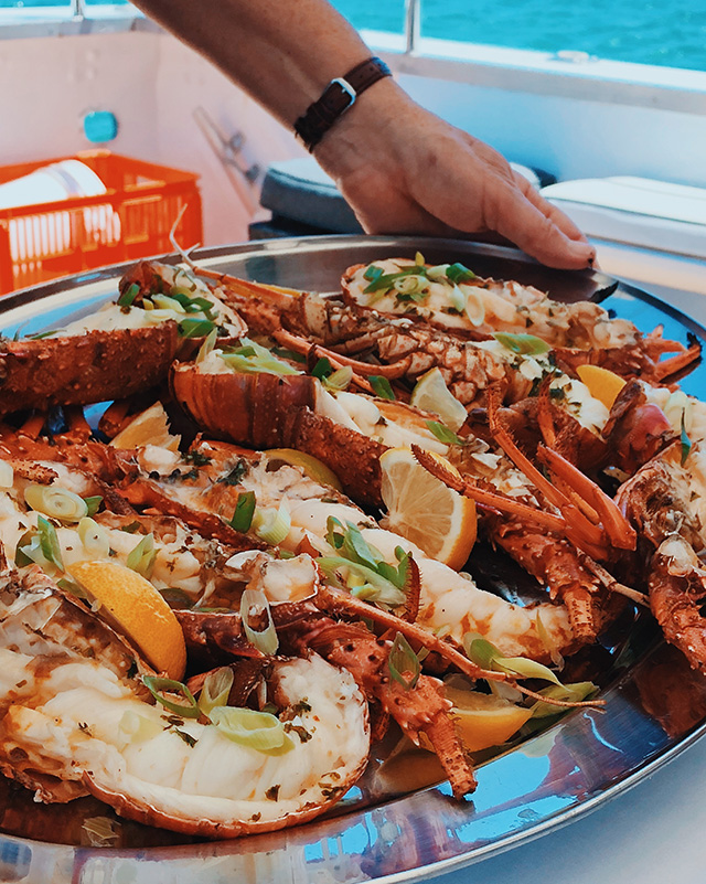 mandurah cruises wild seafood experience