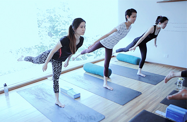 Vinyasa Vibes yoga Organica Lifestyle