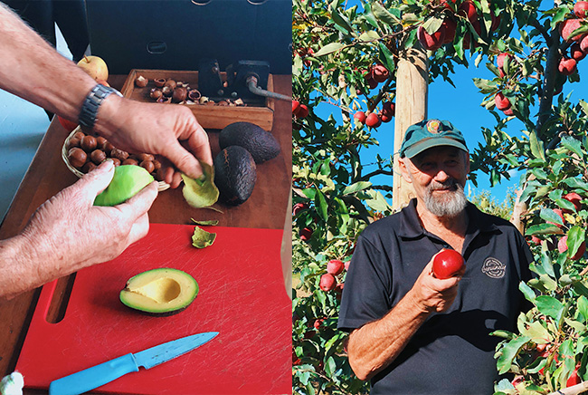 Fontanini Fruit and Nut Farm